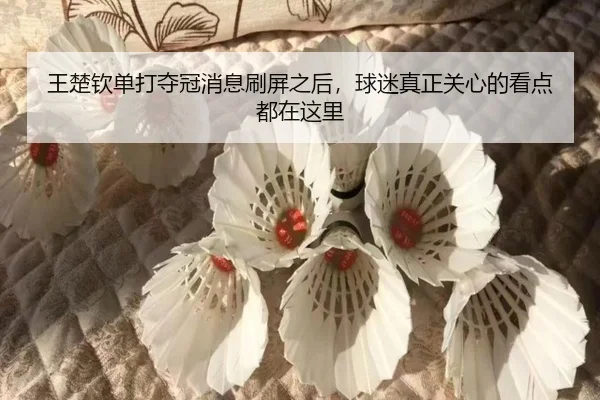 王楚钦单打夺冠消息刷屏之后，球迷真正关心的看点都在这里（kaiyun）